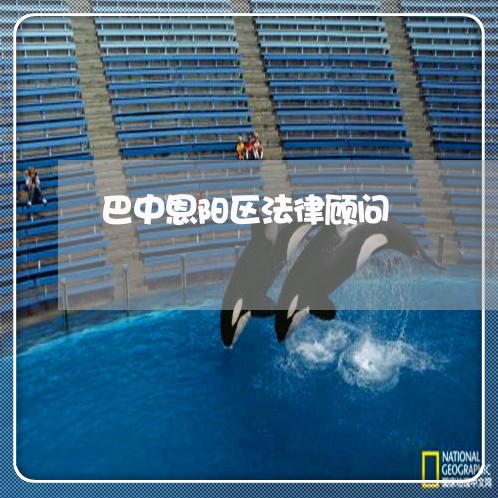 巴中恩阳区法律顾问/2023061748260