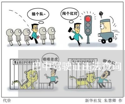 巴中驾驶证违法查询