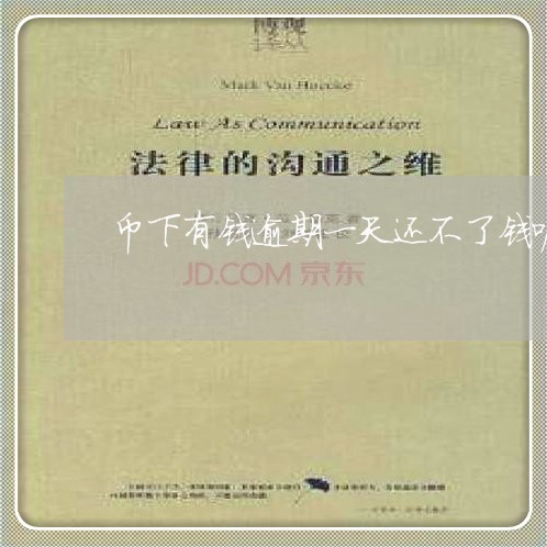 币下有钱逾期一天还不了钱呢