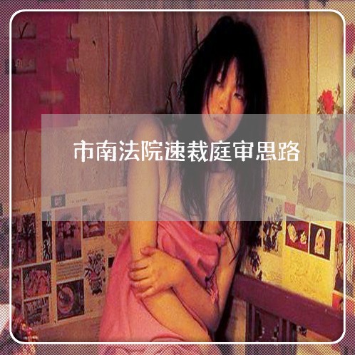 市南法院速裁庭审思路