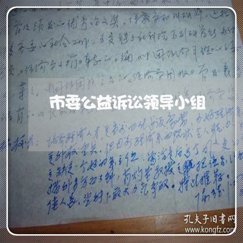 市委公益诉讼领导小组