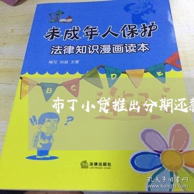布丁小贷推出分期还款
