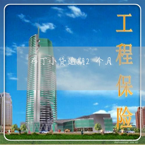 布丁小贷逾期2个月