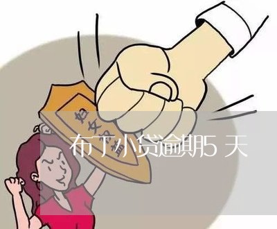 布丁小贷逾期5天 布丁小贷逾期5天