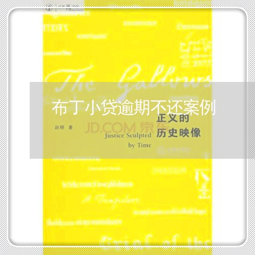 布丁小贷逾期不还案例