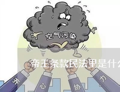 帝王条款民法里是什么原则