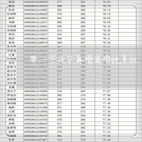 带一下孩子再婚离婚抚养权/2023060225826