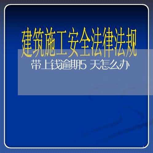 带上钱逾期5天怎么办