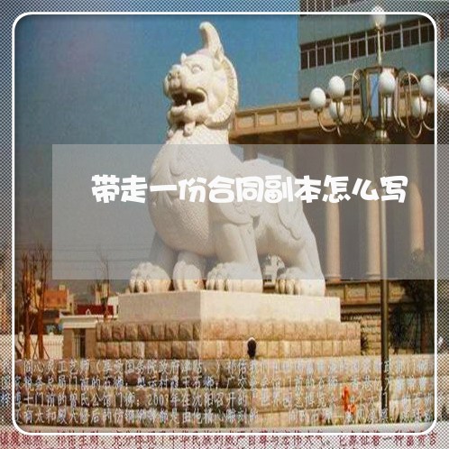 带走一份合同副本怎么写/2023041449394 带走一份合同副本怎么写/2023041449394