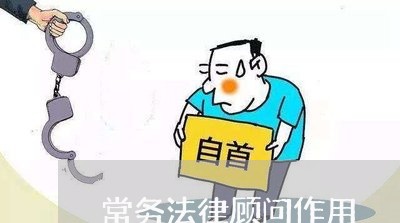 常务法律顾问作用/2023061759481