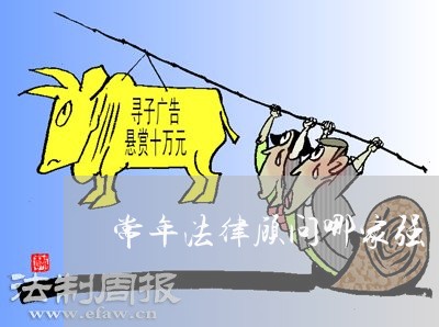 常年法律顾问哪家强/2023061895140
