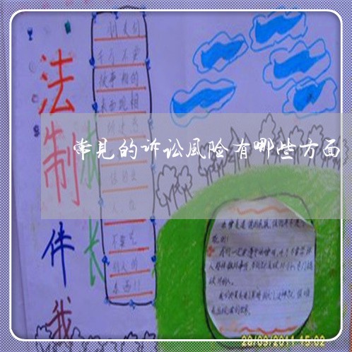 常见的诉讼风险有哪些方面