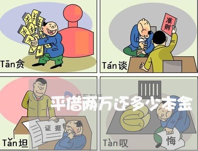 平借两万还多少本金/2023022551939