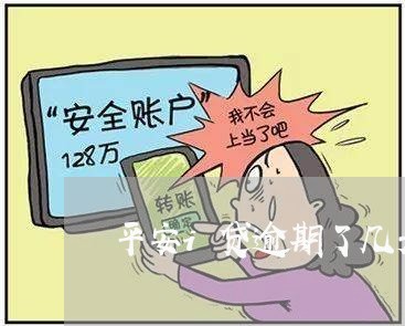 平安i贷逾期了几天/2023100515348