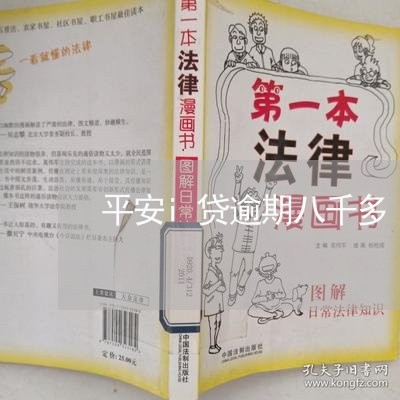 平安i贷逾期八千多/2023020602935