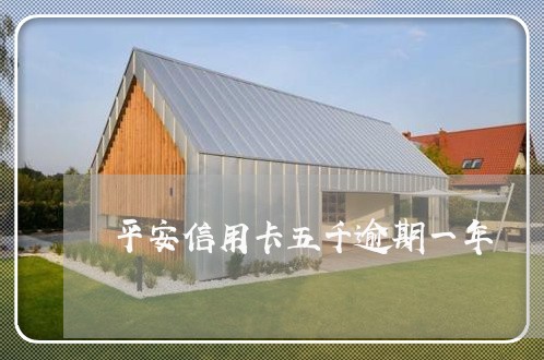 平安信用卡五千逾期一年 平安信用卡五千逾期一年