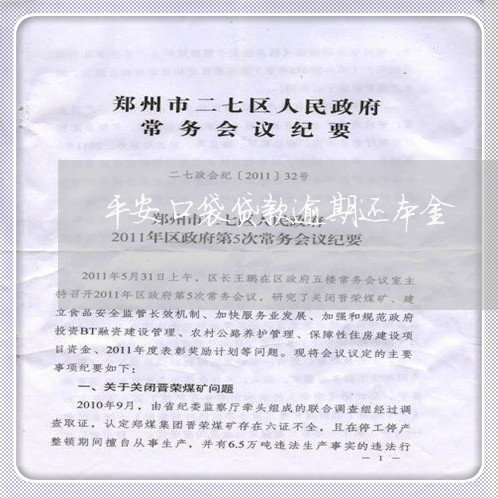 平安口袋贷款逾期还本金/2023022664837