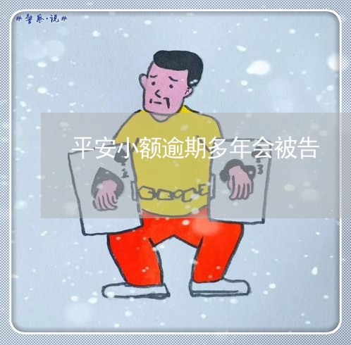 平安小额逾期多年会被告/2023022684820