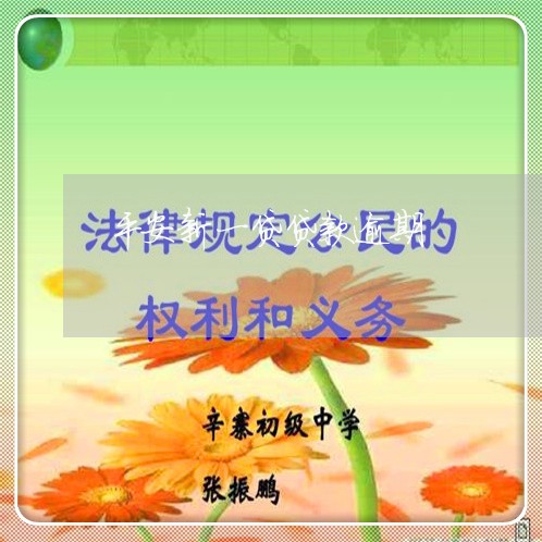 平安新一贷贷款逾期/2023102449314