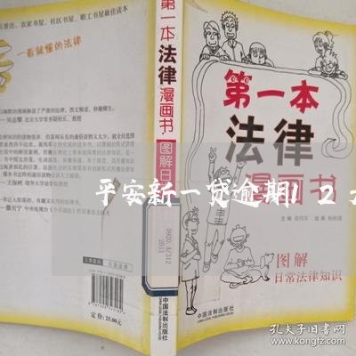 平安新一贷逾期12天/2023102572693