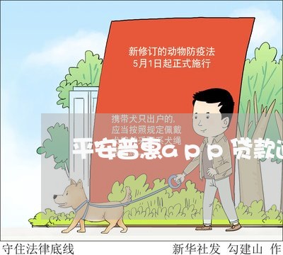 平安普惠app贷款逾期/2023022603848 平安普惠app贷款逾期/2023022603848