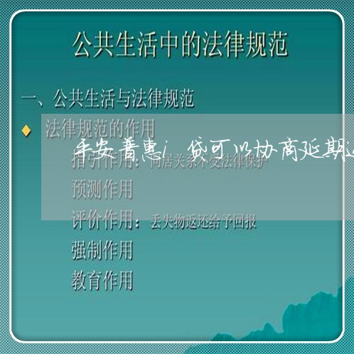 平安普惠i贷可以协商延期还款/2023082504030