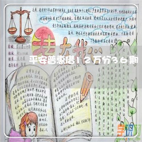 平安普惠借12万分36期/2023030139615