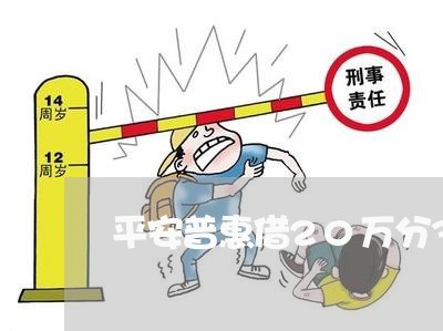 平安普惠借20万分36期还一期/2023030171716