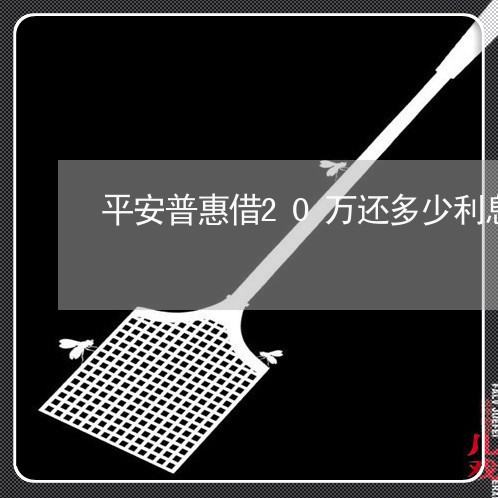 平安普惠借20万还多少利息/2023012947372