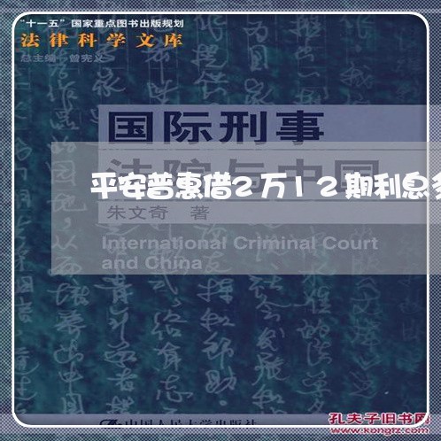 平安普惠借2万12期利息多少/2023061828270