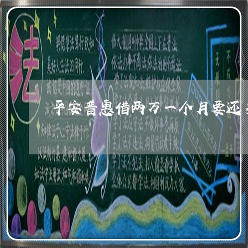 平安普惠借两万一个月要还多少/2023061869605