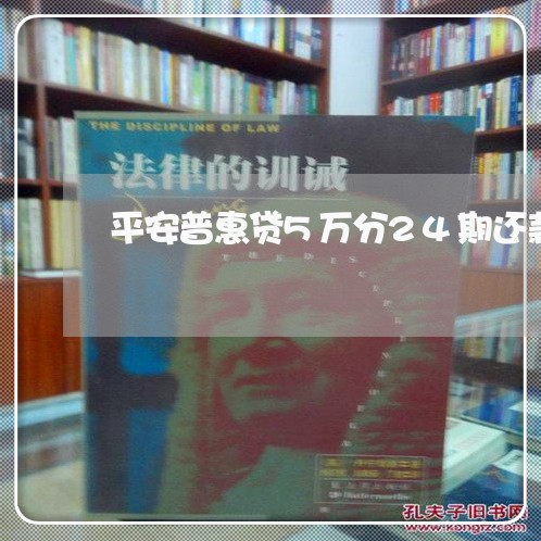 平安普惠贷5万分24期还款/2023092968351