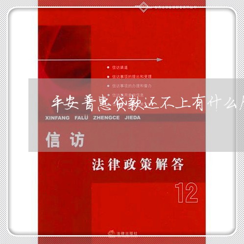 平安普惠贷款还不上有什么后果/2023100983705