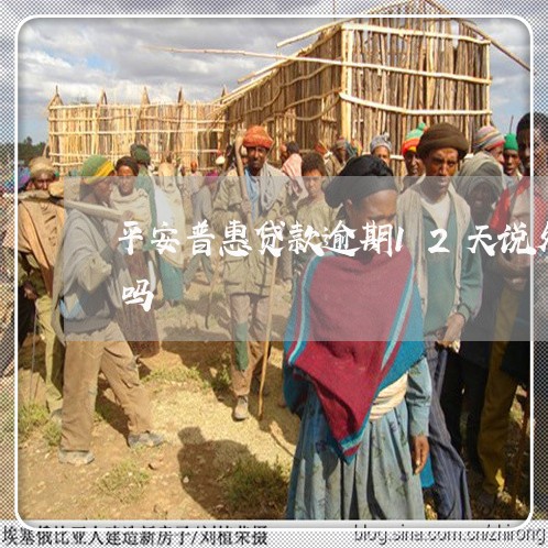 平安普惠贷款逾期12天说外访上门是真的吗
