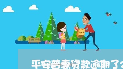 平安普惠贷款逾期了2天/2023022639389