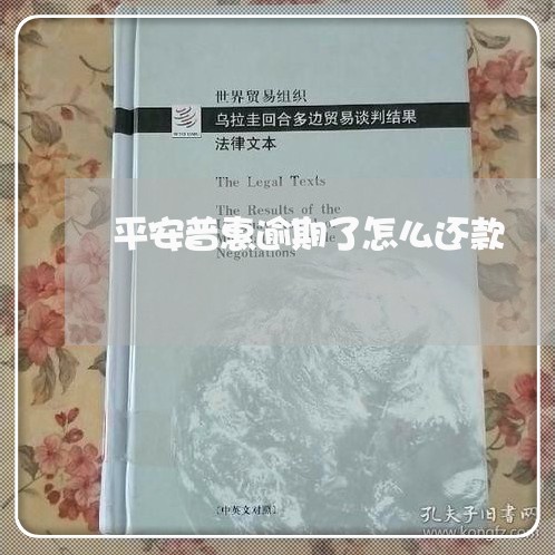 平安普惠逾期了怎么还款/2023030173069