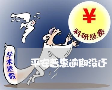 平安普惠逾期没还/2023020290725