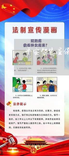 平安智慧星保险逾期