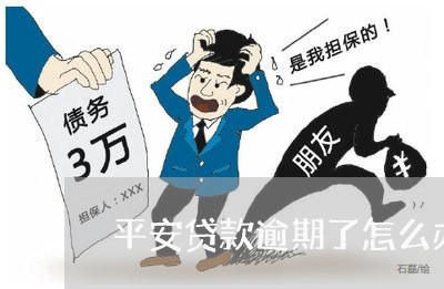 平安贷款逾期了怎么办/2023102573837