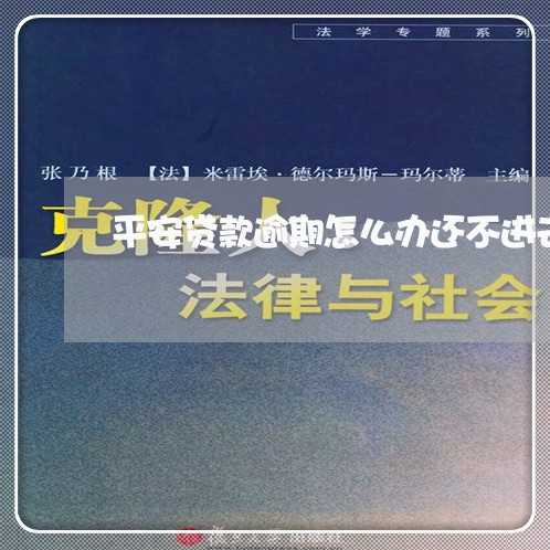 平安贷款逾期怎么办还不进去/2023032492705