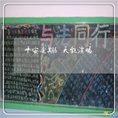 平安逾期6天能消吗/2023102473493