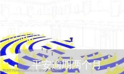 平安逾期两个月/2023071450705