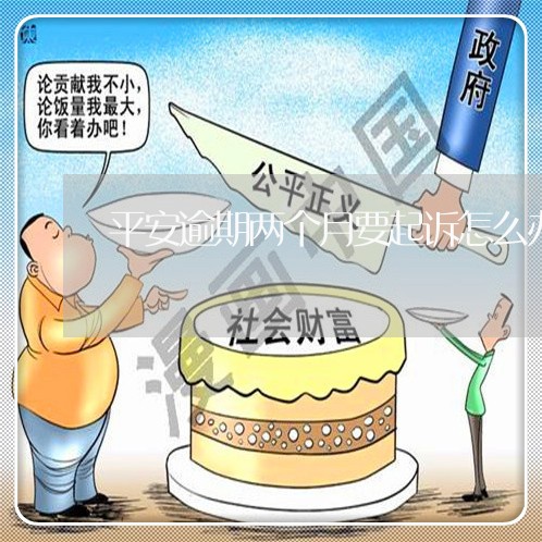 平安逾期两个月要起诉怎么办呀/2023062916151