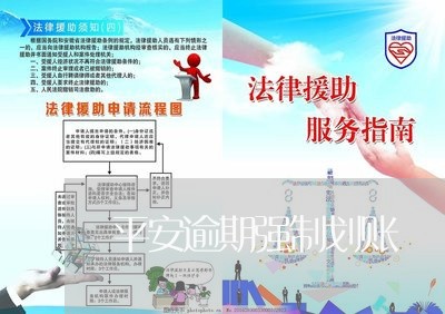 平安逾期强制划账/2023102538591