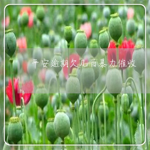 平安逾期欠几百暴力催收