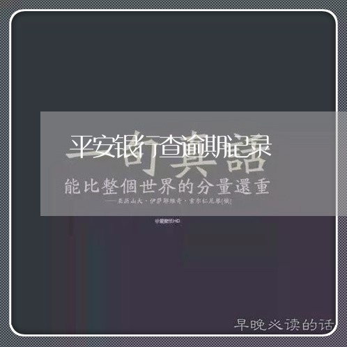 平安银行查逾期记录/2023102495026