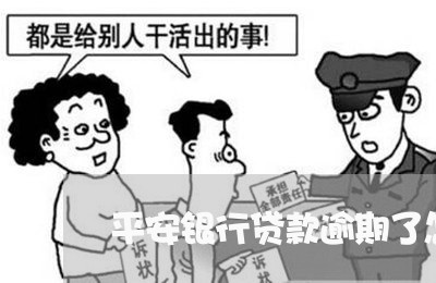 平安银行贷款逾期了怎么办/2023060462615