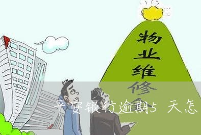 平安银行逾期5天怎么办/2023022673826