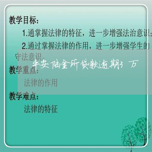 平安陆金所贷款逾期3万/2023062106046