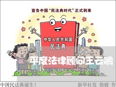 平度法律顾问王云鹏/2023061815927